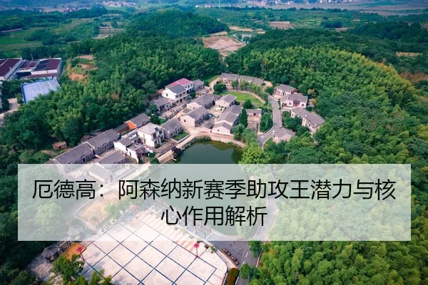 厄德高：阿森纳新赛季助攻王潜力与核心作用解析