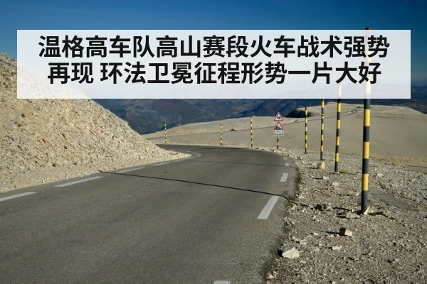 温格高车队高山赛段火车战术强势再现 环法卫冕征程形势一片大好